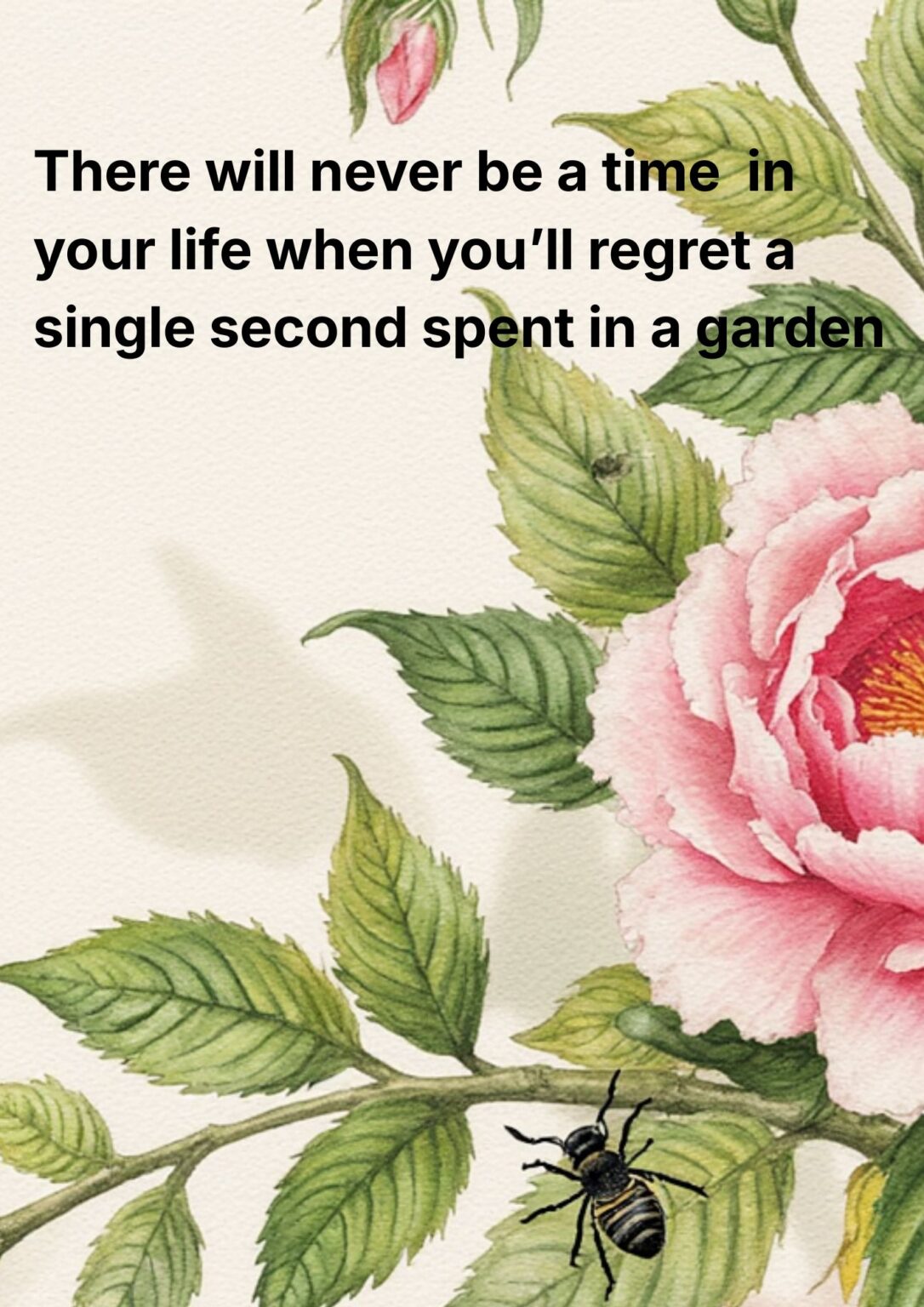 Lucy Summers British nature writer