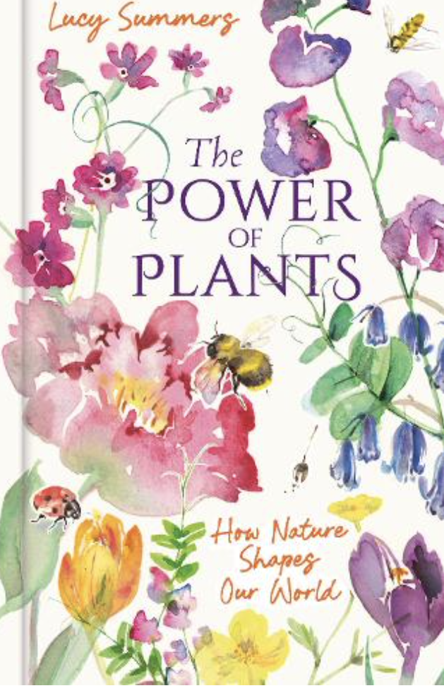 The Power of plants by Lucy Summers